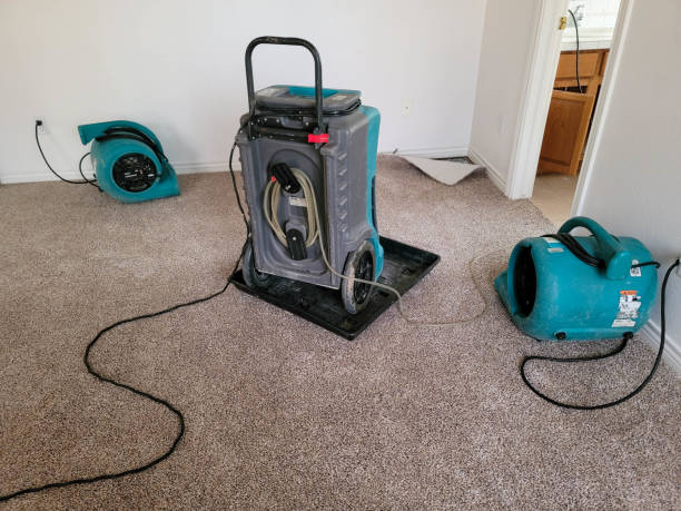 Reliable Longview Heights, WA Water damage restoration Solutions