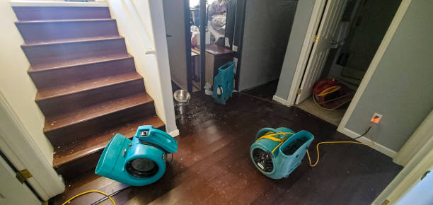 Best Professional water damage repair  in Longview Heights, WA