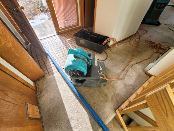 Best Residential water damage restoration  in Longview Heights, WA