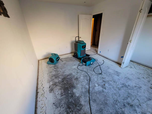Best Emergency water damage restoration  in Longview Heights, WA