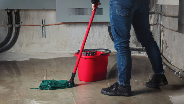 Best Fire Damage Restoration  in Longview Heights, WA