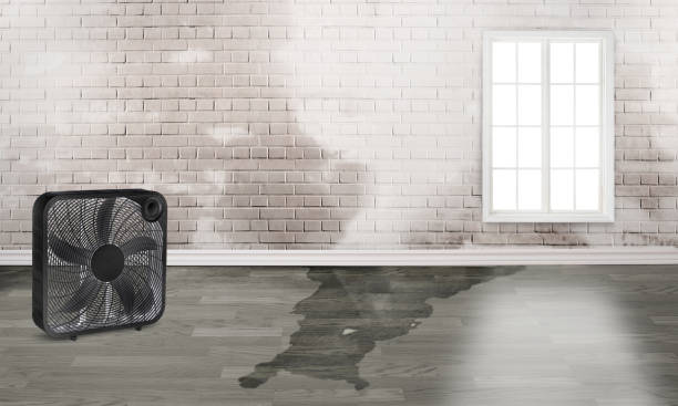 Best Emergency water damage restoration  in Longview Heights, WA