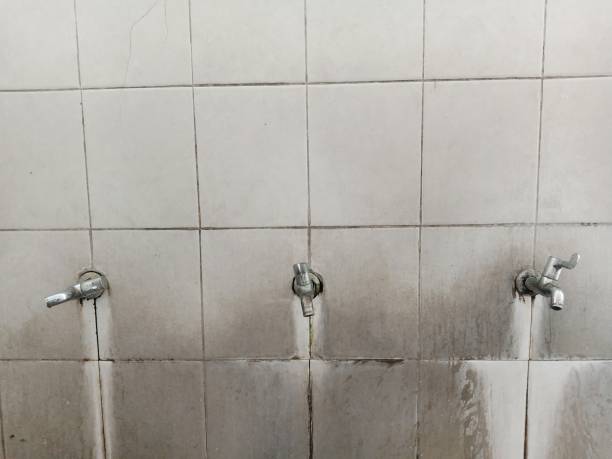 Water damage restoration experts in Longview Heights, WA