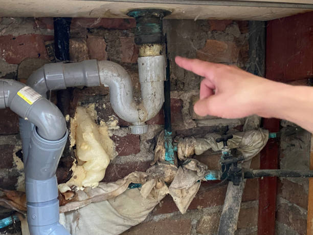 Best Flood damage cleanup  in Longview Heights, WA